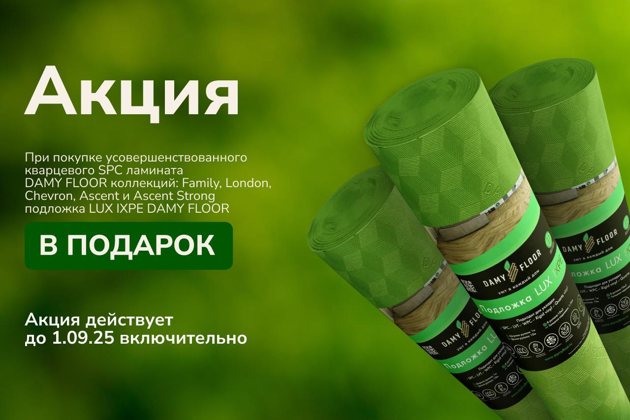 Damyfloor01.09