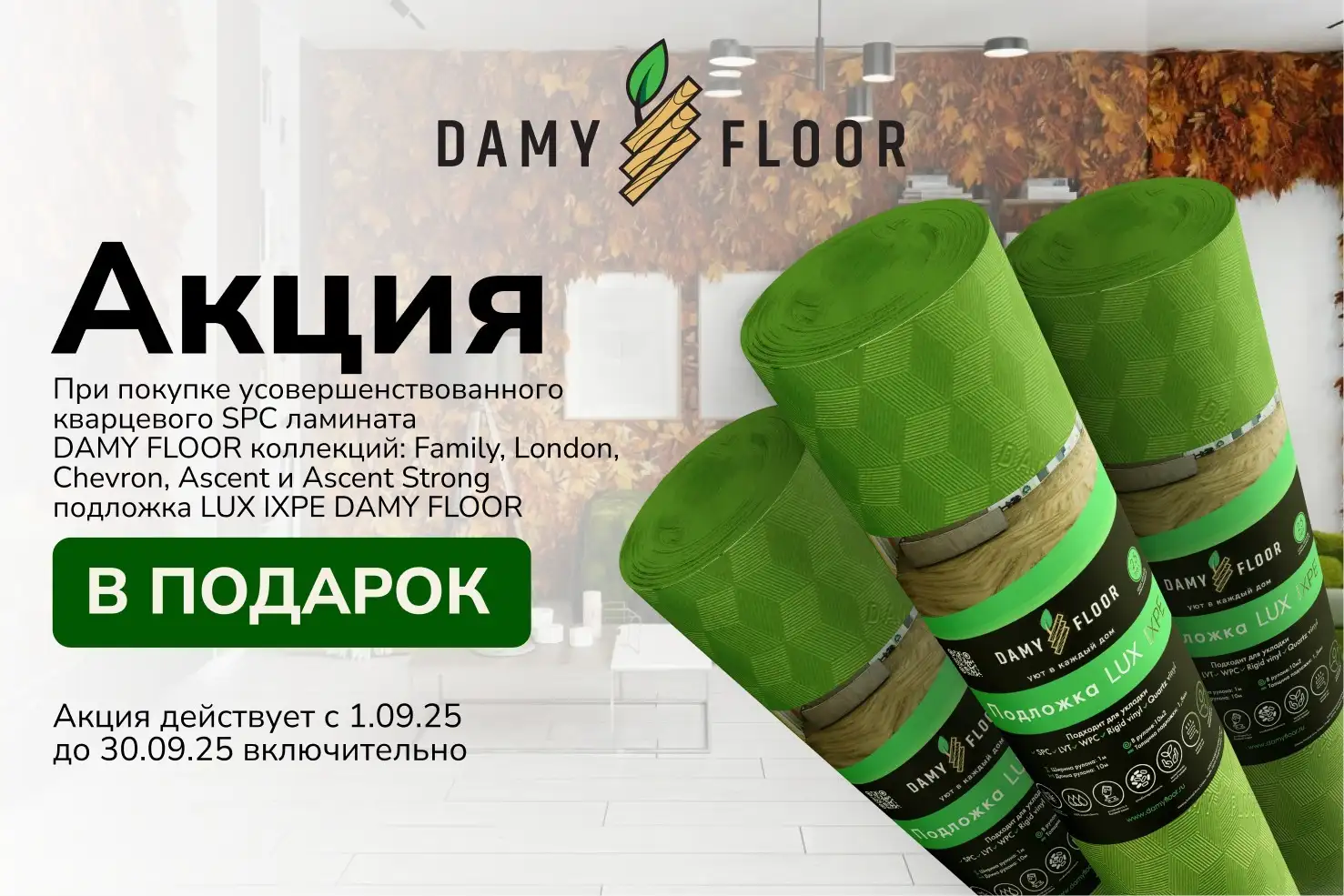 Damyfloorv1